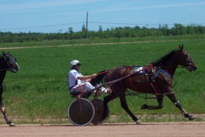 Racing without whips