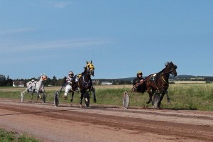 barbies-boy-jimmy-macmillan-kensington Record breaking stretch drive, Jimmy MacMillan battling Woodmere Fools Son