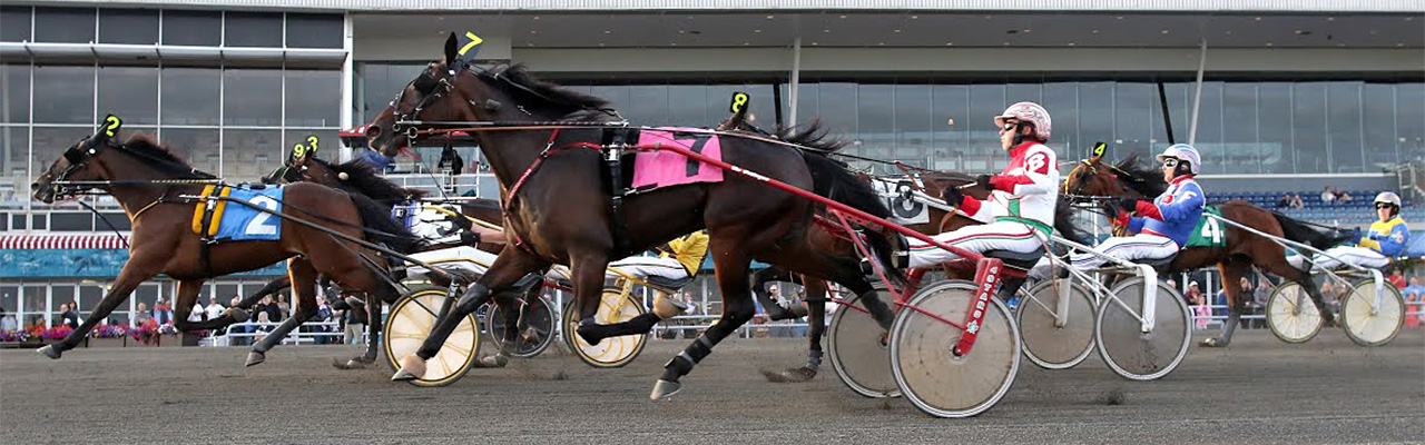 Standardbred Canada